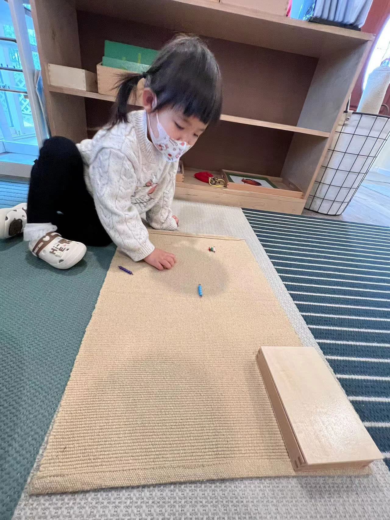 Montessori learning materials